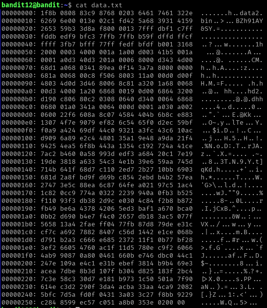 Contenido de data.txt